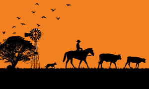 Drover Design