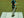 Dressage Mat Design