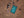 Camping Design - Teal & Black